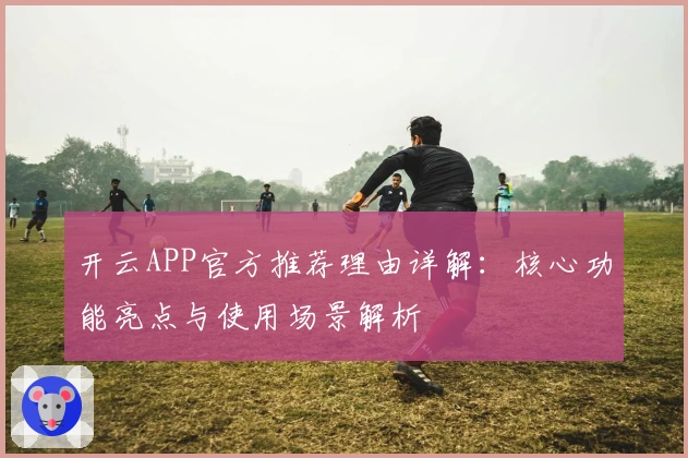 开云APP官方推荐理由详解：核心功能亮点与使用场景解析